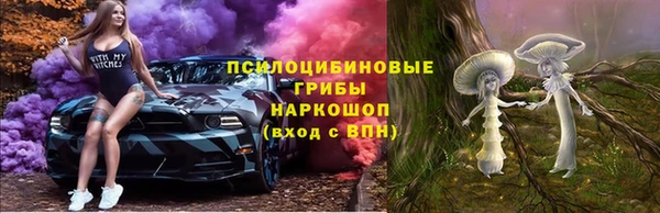 спайс Богданович